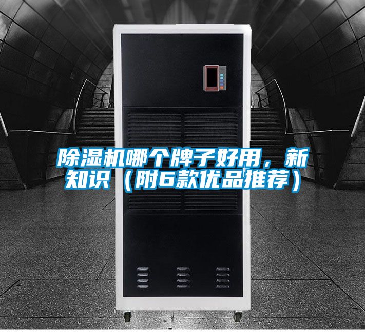 除濕機哪個牌子好用，新知識（附6款優品推薦）