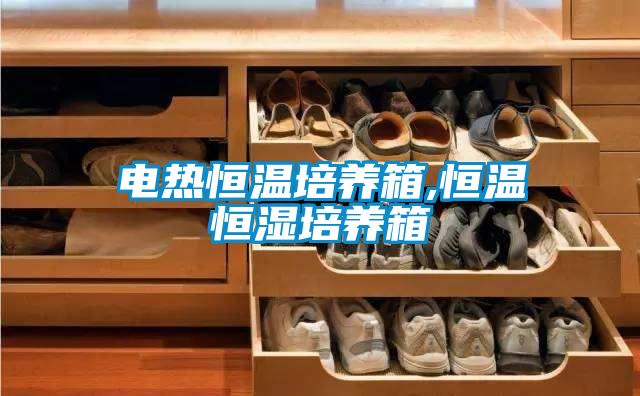 電熱恒溫培養箱,恒溫恒濕培養箱