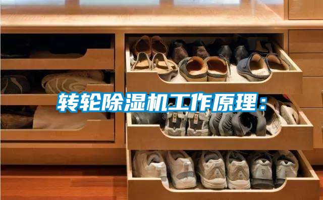 轉(zhuǎn)輪除濕機(jī)工作原理：
