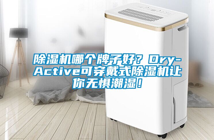 除濕機(jī)哪個牌子好？Dry-Active可穿戴式除濕機(jī)讓你無懼潮濕！