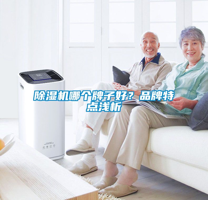 除濕機哪個牌子好？品牌特點淺析