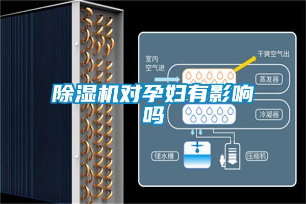除濕機對孕婦有影響嗎