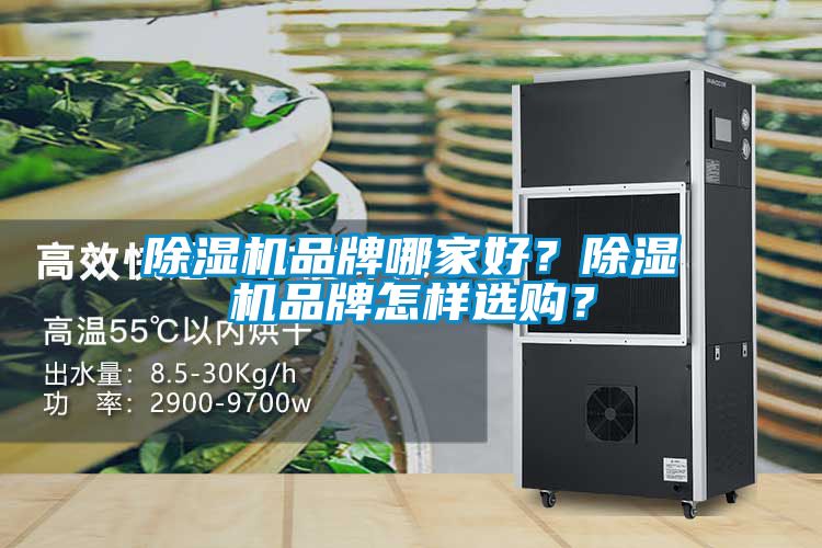 除濕機品牌哪家好？除濕機品牌怎樣選購？