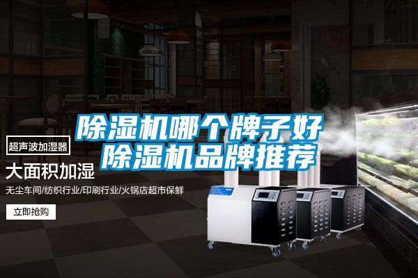 除濕機(jī)哪個(gè)牌子好 除濕機(jī)品牌推薦