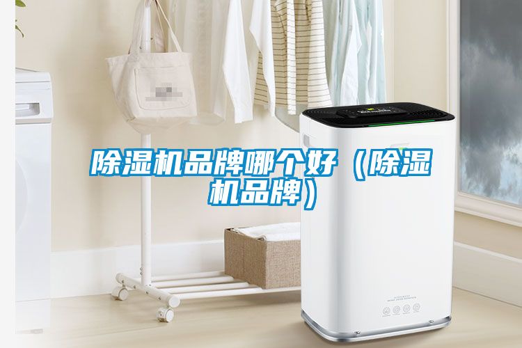 除濕機(jī)品牌哪個好（除濕機(jī)品牌）