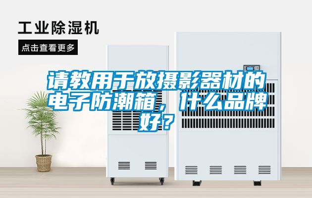 請教用于放攝影器材的電子防潮箱，什么品牌好？