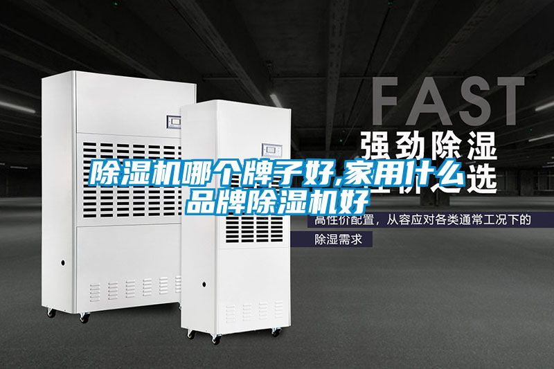 除濕機(jī)哪個(gè)牌子好,家用什么品牌除濕機(jī)好