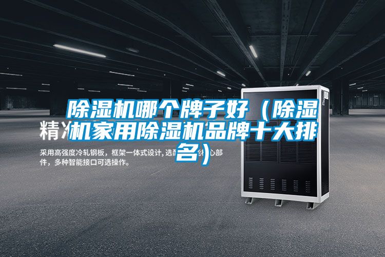 除濕機哪個牌子好（除濕機家用除濕機品牌十大排名）