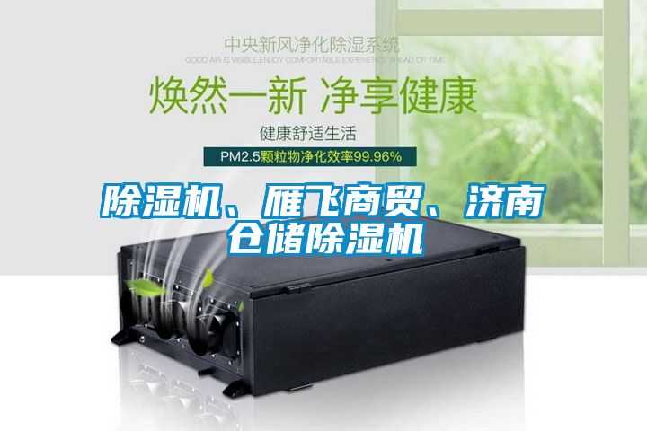 除濕機(jī)、雁飛商貿(mào)、濟(jì)南倉儲(chǔ)除濕機(jī)
