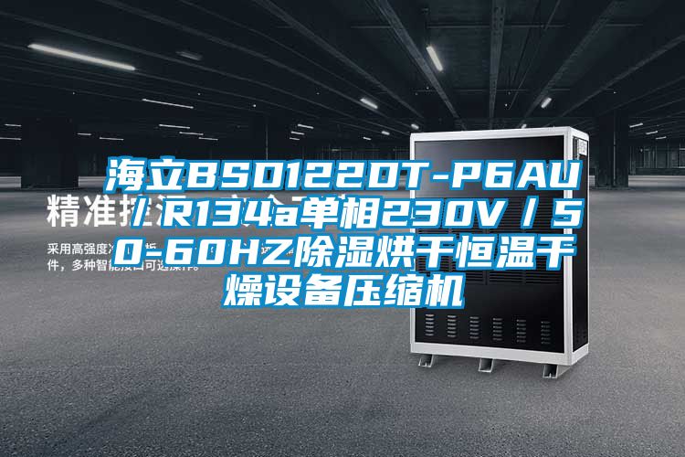 海立BSD122DT-P6AU／R134a單相230V／50-60HZ除濕烘干恒溫干燥設備壓縮機
