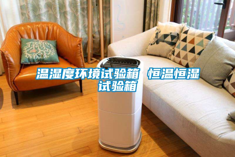 溫濕度環境試驗箱 恒溫恒濕試驗箱