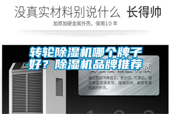 轉輪除濕機哪個牌子好？除濕機品牌推薦