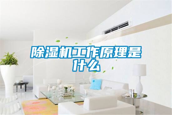 除濕機工作原理是什么