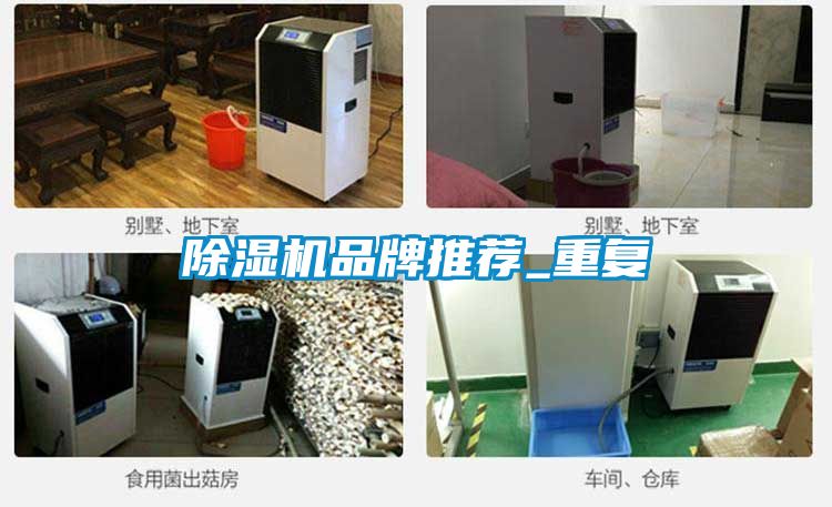 除濕機品牌推薦_重復