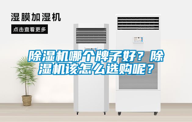 除濕機哪個牌子好？除濕機該怎么選購呢？