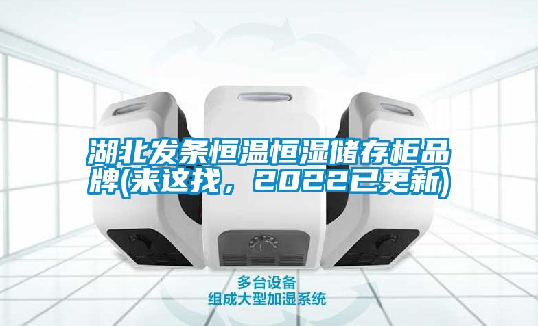 湖北發(fā)條恒溫恒濕儲(chǔ)存柜品牌(來這找，2022已更新)