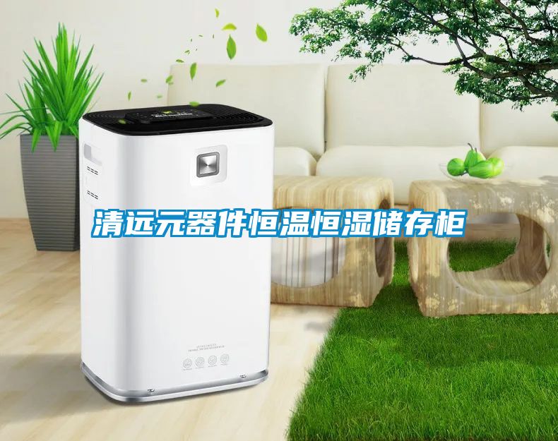 清遠元器件恒溫恒濕儲存柜