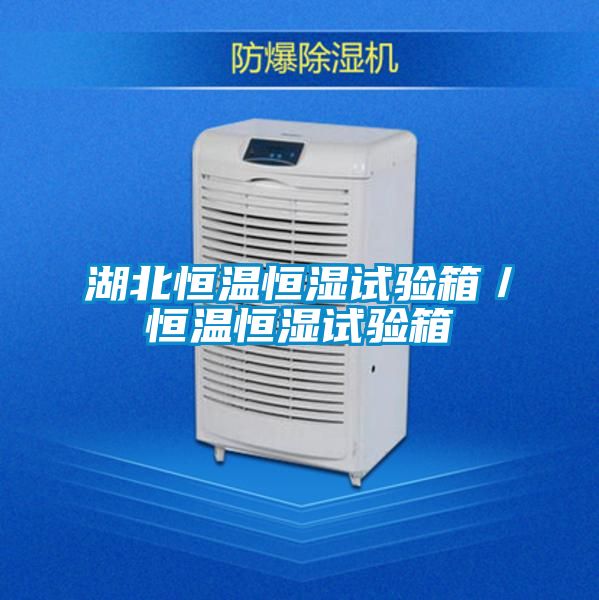 湖北恒溫恒濕試驗箱／恒溫恒濕試驗箱