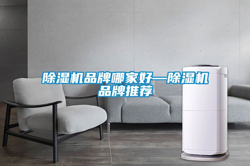 除濕機品牌哪家好—除濕機品牌推薦