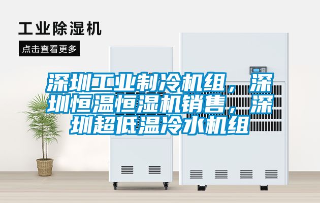 深圳工業(yè)制冷機組，深圳恒溫恒濕機銷售，深圳超低溫冷水機組