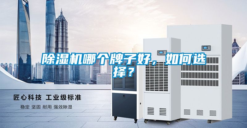除濕機哪個牌子好，如何選擇？