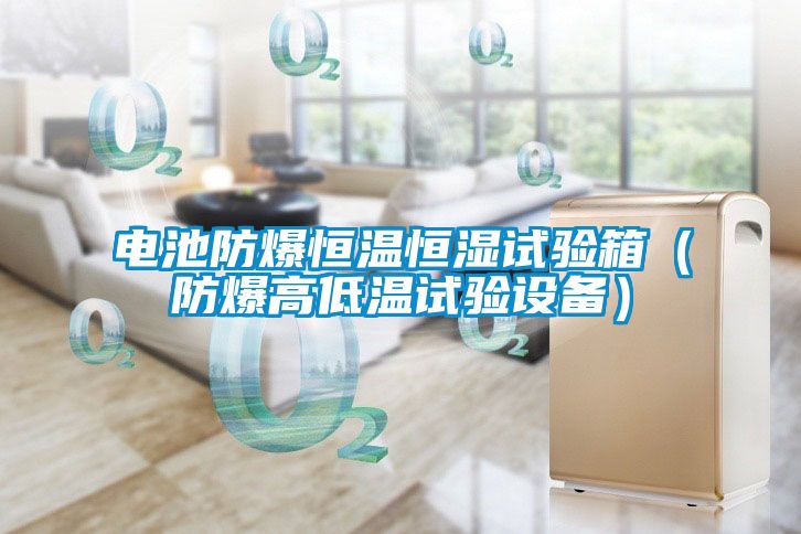 電池防爆恒溫恒濕試驗(yàn)箱（防爆高低溫試驗(yàn)設(shè)備）