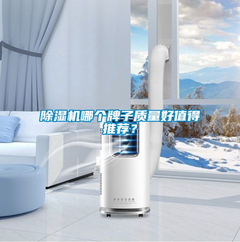 除濕機哪個牌子質量好值得推薦？