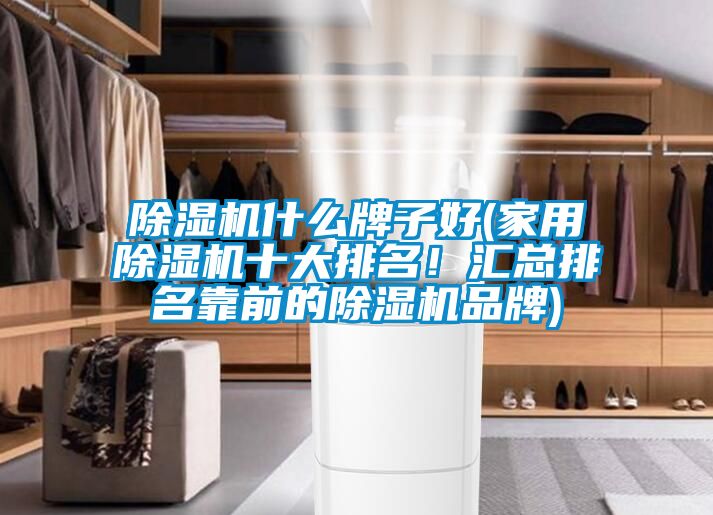 除濕機什么牌子好(家用除濕機十大排名！匯總排名靠前的除濕機品牌)