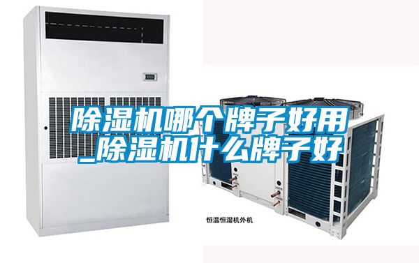 除濕機(jī)哪個牌子好用_除濕機(jī)什么牌子好