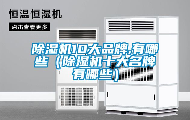 除濕機10大品牌,有哪些（除濕機十大名牌有哪些）