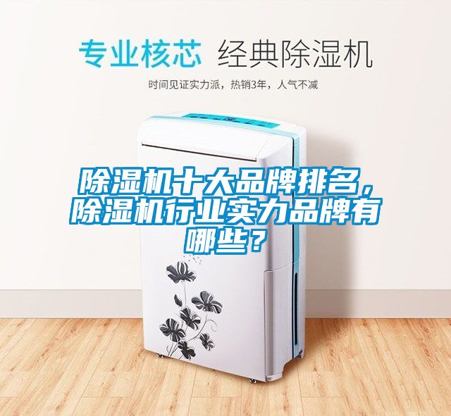 除濕機(jī)十大品牌排名，除濕機(jī)行業(yè)實(shí)力品牌有哪些？