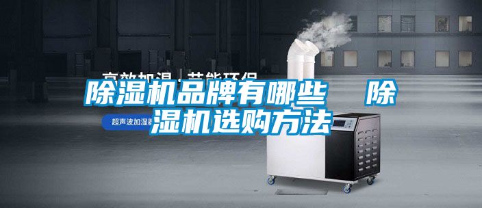 除濕機(jī)品牌有哪些  除濕機(jī)選購方法