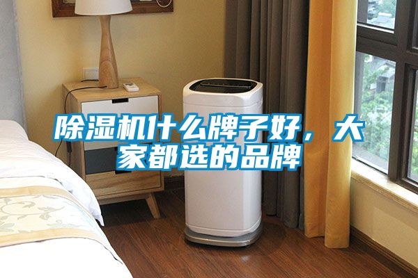 除濕機什么牌子好，大家都選的品牌