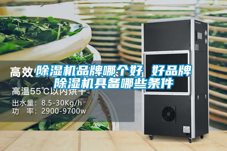 除濕機品牌哪個好 好品牌除濕機具備哪些條件