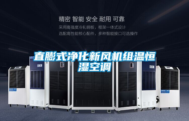 直膨式凈化新風(fēng)機組溫恒濕空調(diào)