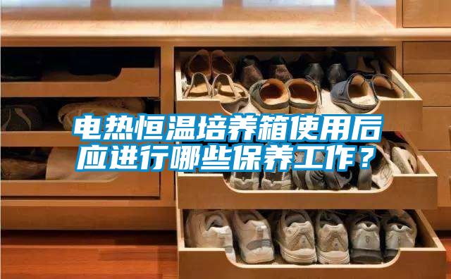 電熱恒溫培養箱使用后應進行哪些保養工作？