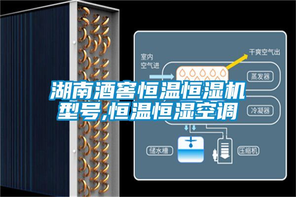 湖南酒窖恒溫恒濕機型號,恒溫恒濕空調