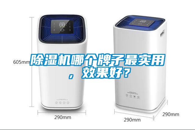 除濕機哪個牌子最實用，效果好？
