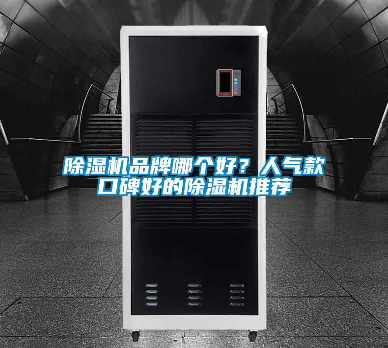 除濕機品牌哪個好？人氣款口碑好的除濕機推薦