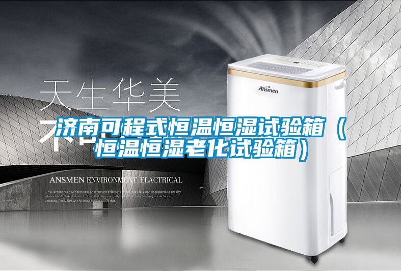 濟南可程式恒溫恒濕試驗箱（恒溫恒濕老化試驗箱）