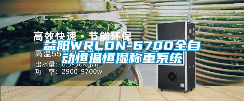 益陽WRLDN-6700全自動恒溫恒濕稱重系統