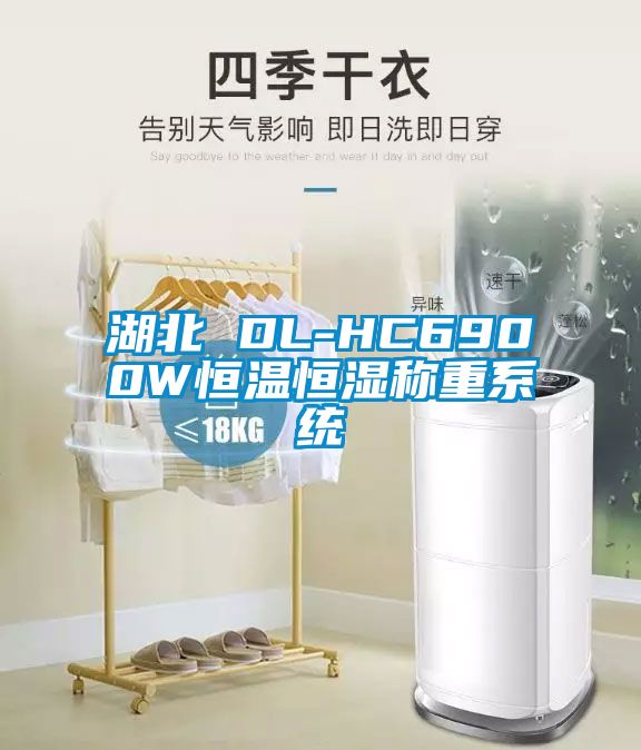 湖北 DL-HC6900W恒溫恒濕稱重系統