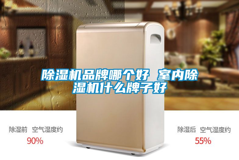 除濕機品牌哪個好 室內除濕機什么牌子好