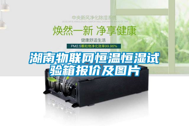 湖南物聯(lián)網(wǎng)恒溫恒濕試驗(yàn)箱報(bào)價(jià)及圖片