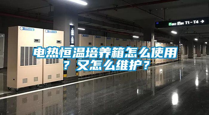 電熱恒溫培養(yǎng)箱怎么使用？又怎么維護(hù)？