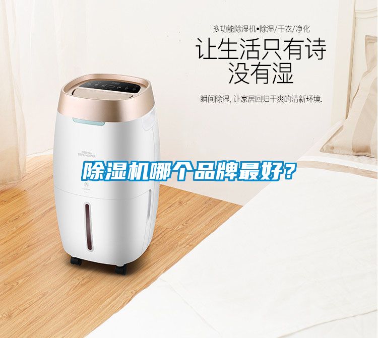 除濕機哪個品牌最好？