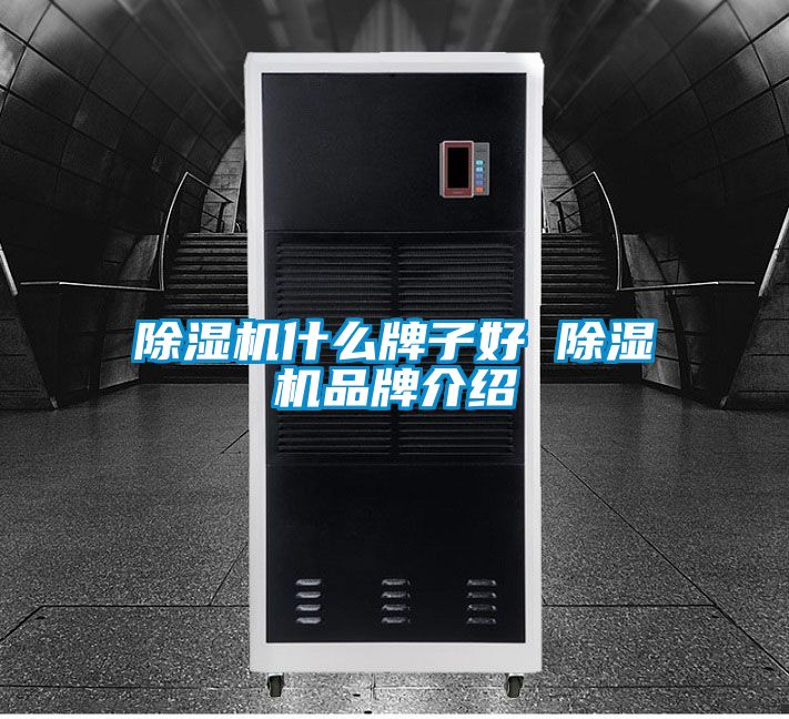 除濕機什么牌子好 除濕機品牌介紹