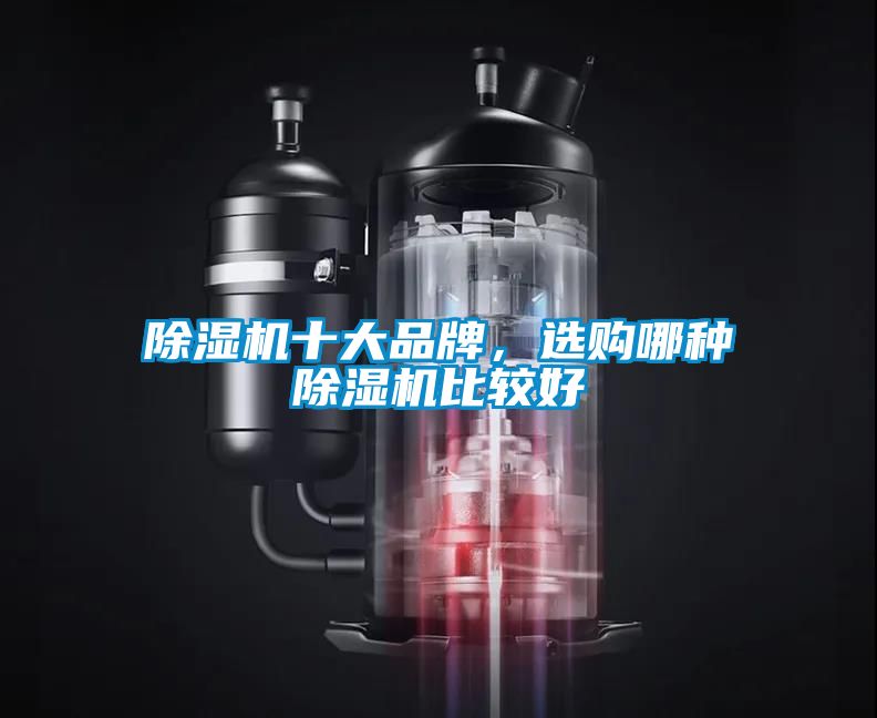 除濕機(jī)十大品牌，選購(gòu)哪種除濕機(jī)比較好