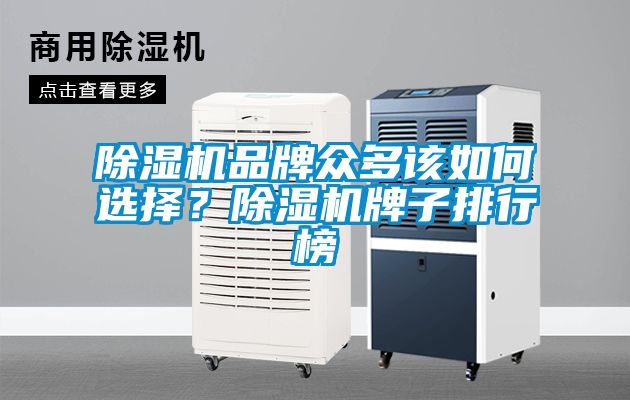 除濕機(jī)品牌眾多該如何選擇？除濕機(jī)牌子排行榜