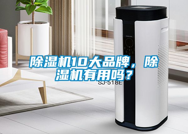 除濕機10大品牌，除濕機有用嗎？
